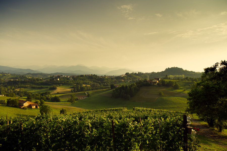 Le colline di Vicoforte